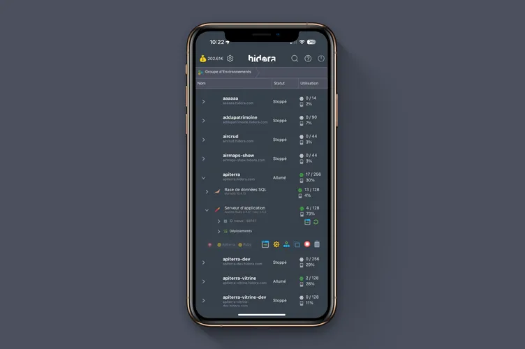 Application mobile Hidora - Affichage d'un environnement